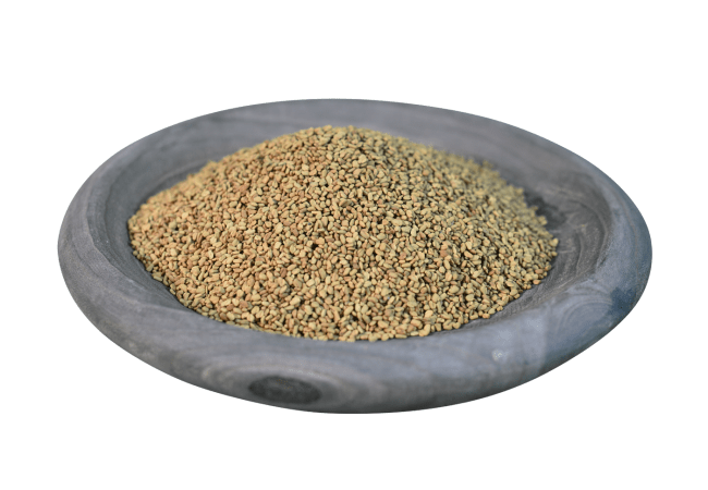 1 KG FENEGRIEKZAAD BIOLOGISCH